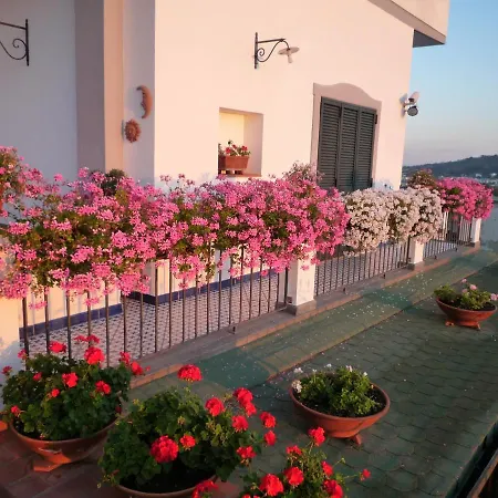 Dea Fortuna Bed & Breakfast Bacoli