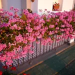 Bed & Breakfast Dea Fortuna Bacoli