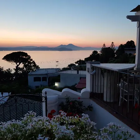 Dea Fortuna バーコリ