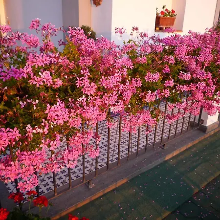 ベッド・アンド・ブレックファスト Dea Fortuna バーコリ