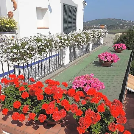 Dea Fortuna Bed and Breakfast