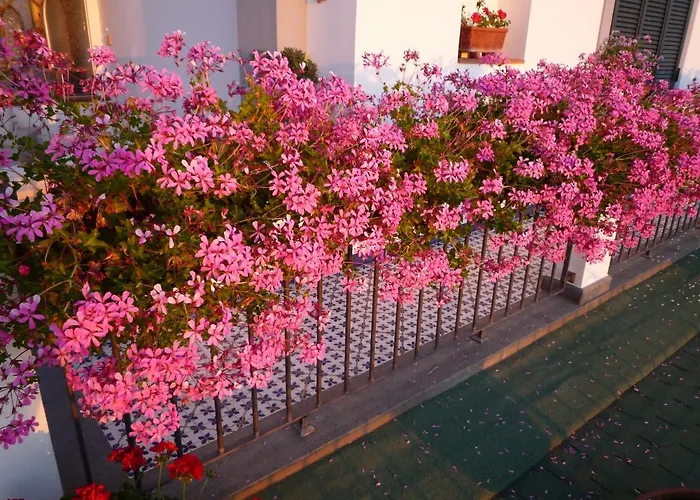 Bed & Breakfast Dea Fortuna Bacoli